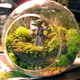 Illustration for article titled emStar Wars/em terrariums bring a little piece of Dagobah into your home